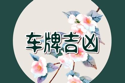 属兔幸运号码|属兔人的幸运数字 最旺属兔人的数字是什么